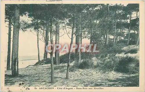 Cartes postales Arcachon Cote d'Argent Sous Bois aux Abbatiales
