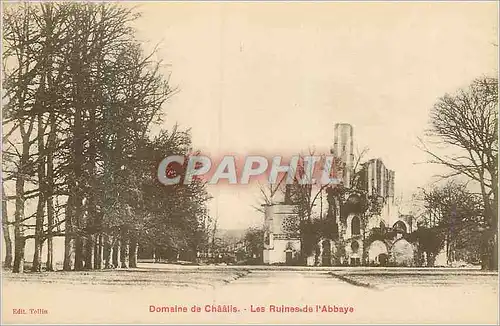 Ansichtskarte AK Domaine de Chaalis Les Ruines de L'Abbaye