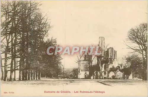 Cartes postales Domaine de Chaalis Les Ruines de L'Abbaye