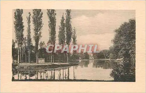 Cartes postales Ermenonville Le Parc L'Ile des Peupliers