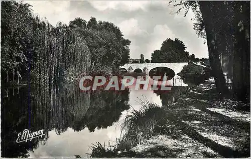 Cartes postales moderne Villeneuve sur Yonne (Yonne) La Fausse Riviere