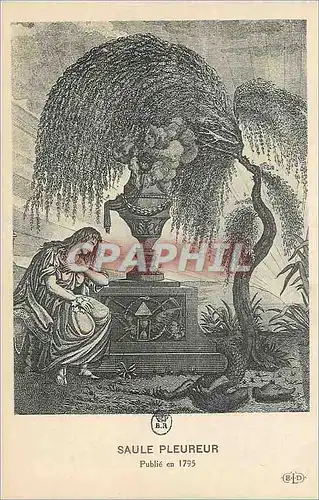 Cartes postales Saule Fleureur Publie en 1795