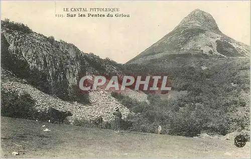 Cartes postales Le Cantal Pittoresque Sur les Pentes du Griou