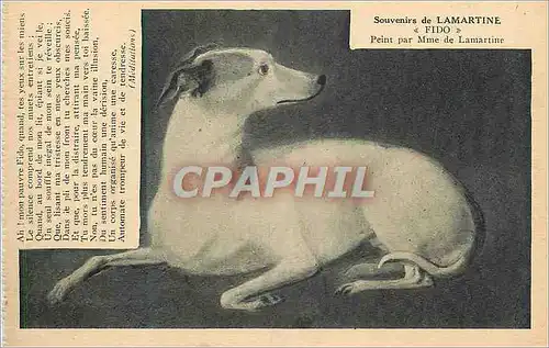 Cartes postales Souvenirs de Lamartine Fido Peint par Mme de Lamartine