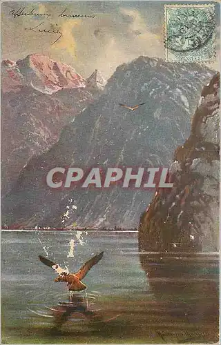 Cartes postales Aigle plongeant dans un lac