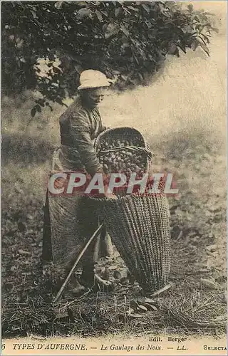 REPRO Types d'Auvergne Le Gaulage des Noix