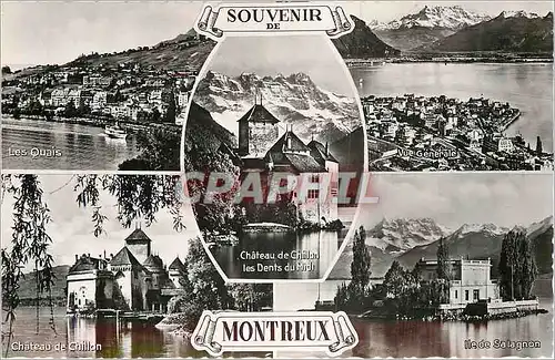 Cartes postales moderne Souvenir de Montreux Chateau de Chillon Les Dents du Midi