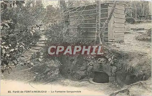 Ansichtskarte AK Foret de Fontainebleau La Fontaine Sanguinede