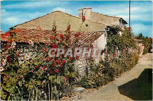 Cartes postales moderne Talmont (Charente Maritime) Vieilles Maisons et Rues Fleuries