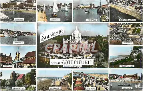 Cartes postales moderne Souvenir de la Cote Fleurie Basilique Architecte Cordonnier