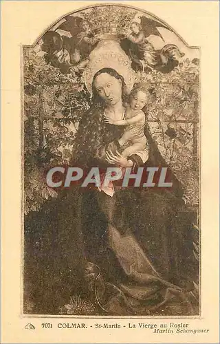 Cartes postales Colmar St Martin la Vierge au Rosier
