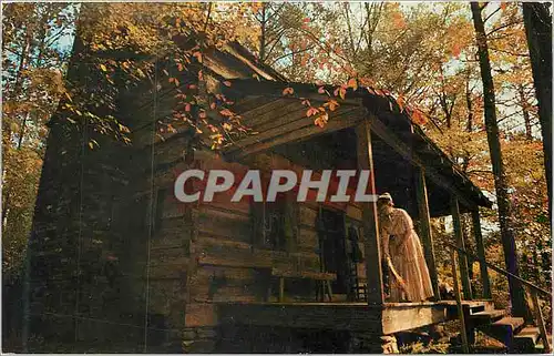 Cartes postales moderne Georgia Callaway Gardens Pine Mountain