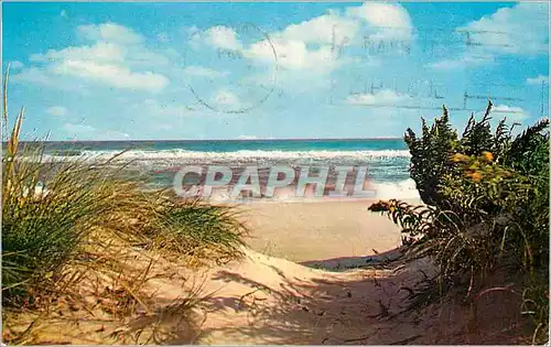 Cartes postales Long Island Vacation Playground