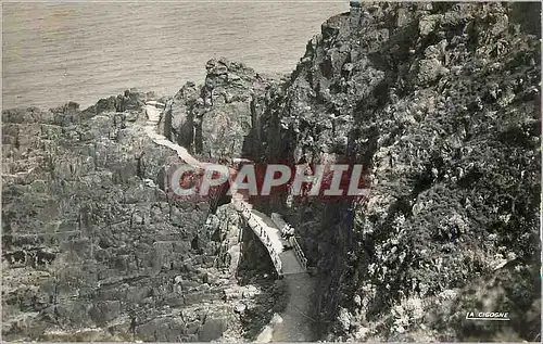 Cartes postales moderne Val Andre (Cote du Nord) la Promenade de la Lingouare