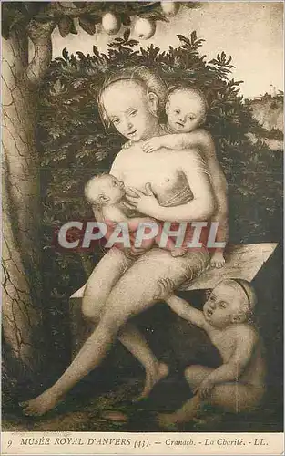 Cartes postales Musee Royal d'Anvers Cranach la Charite