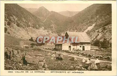 Ansichtskarte AK Vallee de la Wormsa Spitzkoepfe et Hohneck
