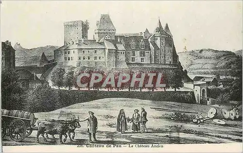 Cartes postales Chateau de Pau le Chateau Ancien