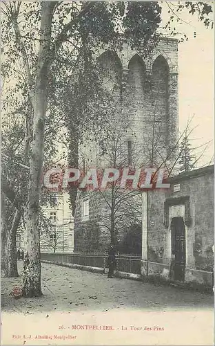 Ansichtskarte AK Montpellier le Tour des Pins