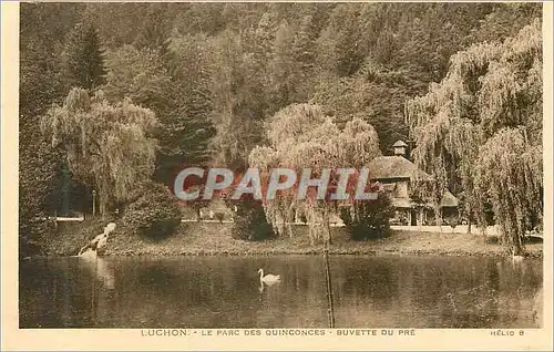 Cartes postales Luchon le Parc des Quinconces Buvette du Pre