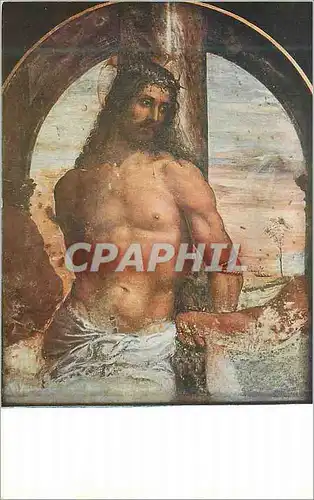 Cartes postales Siena Accademia di Belle Arti Sodoma Cristo Alla Colonna