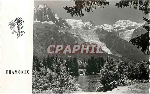 Moderne Karte Chamonix (haute savoie) alt 1050 m 31 le mont blanc vu du lac gailands