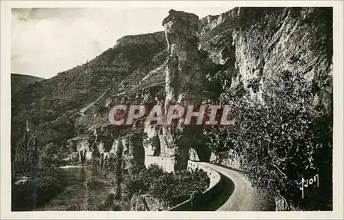 Cartes postales moderne Gorges du tarn pougnadoires(lozere) la tour eiffel