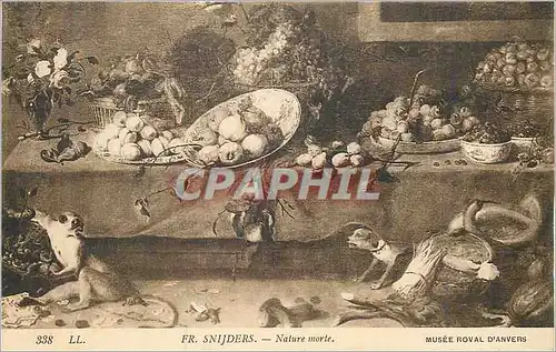 Cartes postales 338 fr snijders nature morte musee roval d anvers