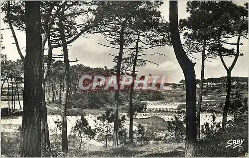 Cartes postales moderne 62 la tranche sur mer vendee les pins et le phare