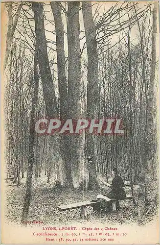 Cartes postales Lyons la foret cepee des 4 chenes
