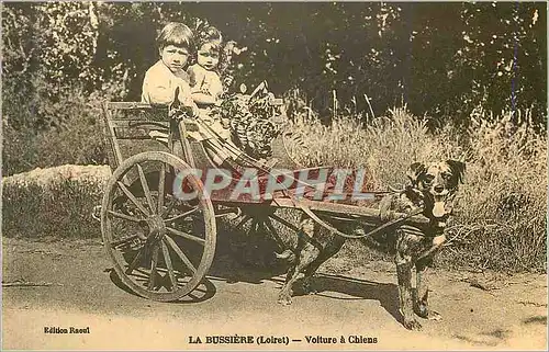 REPRO La Bussiere (loiret) voiture a chiens