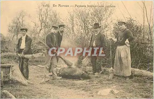 REPRO 2089 en morvan paysans brulant leur cochon
