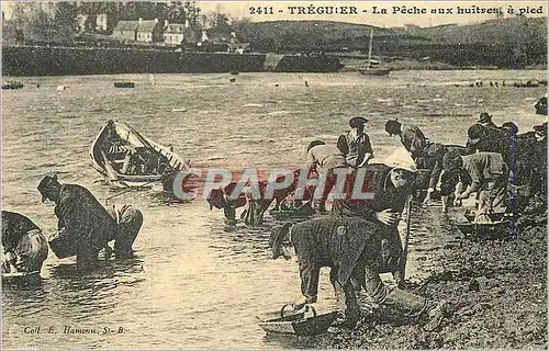 REPRO 2411 treguier la peche aux huitres a pied