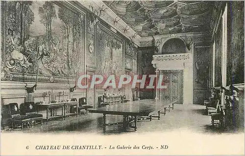 Cartes postales 6 chateau de chantilly la galerie des cerfs