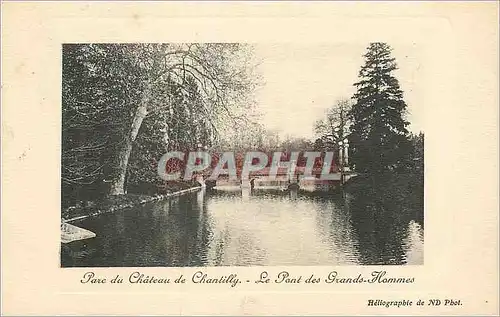 Ansichtskarte AK parc du chateau de chantilly le pont des grands hommes