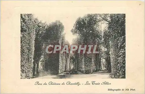 Ansichtskarte AK Parc du chateau de chantilly les trois allees