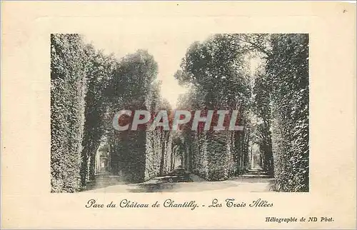 Cartes postales Parc du chateau de chantilly les trois allees