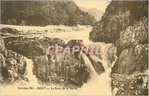 Cartes postales Correze 281 bort le saut de la saule