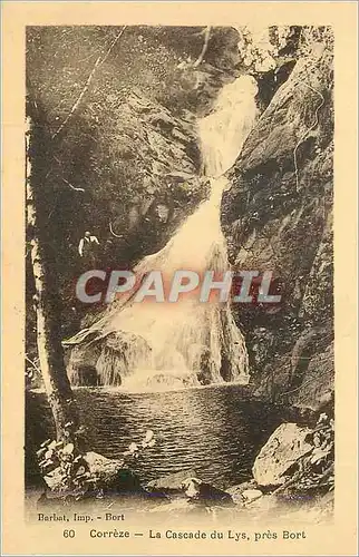 Ansichtskarte AK 60 correze la cascade du lys pres bort