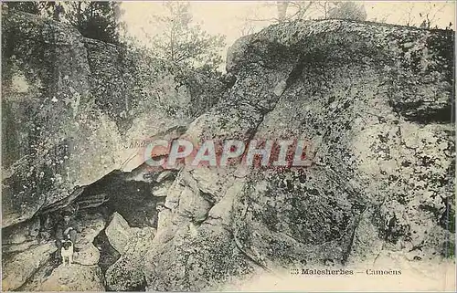 Cartes postales 113 malesherbes camoens