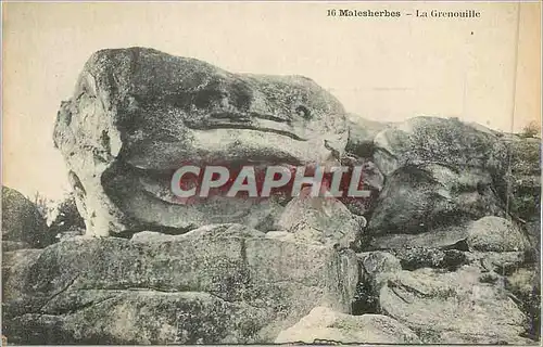 Cartes postales 16 malesherbes la grenouille