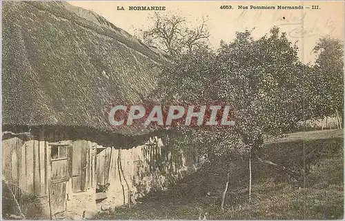 Ansichtskarte AK La normandie 4653 nos pommiers normandie III