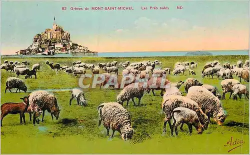Cartes postales 92 greves du mont saint michel les pres sales Moutons