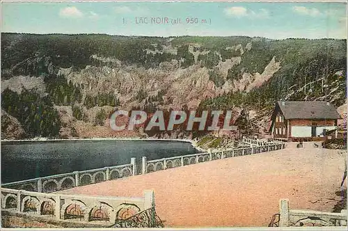 Cartes postales Lac noir (alt 950 m)