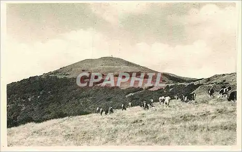 Cartes postales Grand ballon (altitude 1425 m)