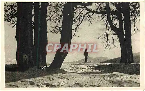 Cartes postales Paysage d hiver au grand ballon (alt 1425m)