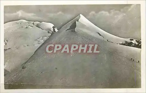 Cartes postales moderne 243 les bosses du dromadaire et le sommet du mont blanc