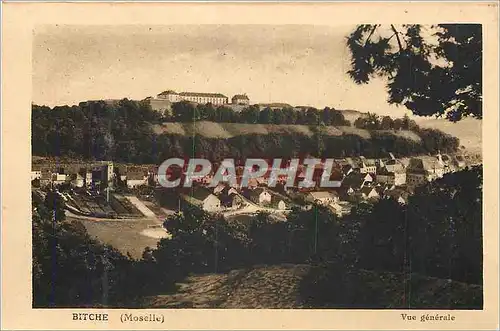 Cartes postales Bitche (moselle) vue generale