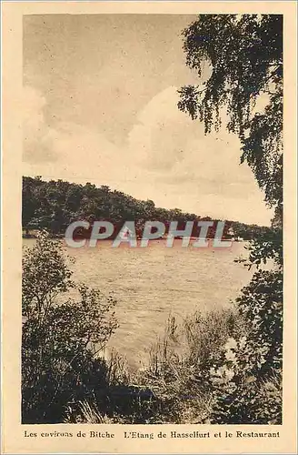 Cartes postales Les environs se biche l etang de hasseliurt et le restaurant