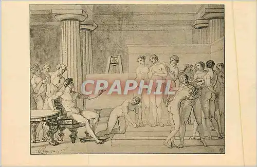 Cartes postales Carnine lefranco suc musculaire de boeuf cru concentre a fond