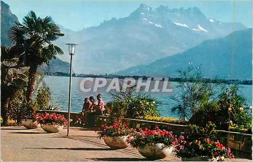 Cartes postales moderne Montreux 868 le quais fleuri et les dents du midi